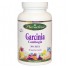 Garcinia Cambogia (60 Veggie Caps) - Paradise Herbs