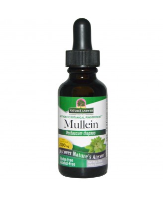 Mullein, Alcohol-Free, 2000 mg (30 ml) – Nature's Answer