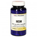 MSM 500 mg GPH (60 Capsules) - Gall Pharma GmbH