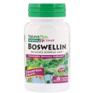 Herbal Actives- Boswellin- 300 mg (60 Vegetarian Capsules) - Nature's Plus