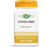 CHOLINE 500 MG (100 TABLETS) - NATURE'S WAY