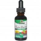 Hawthorne, Alcohol-Free, 2000 mg (30 ml) - Nature's Answer